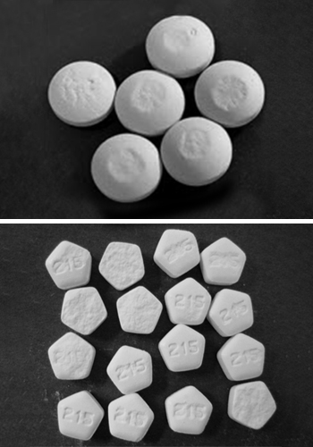 Gamlen Tablets The Gamlen Powder Compaction Analyzers optimise tablet lubrication so they can be brought into standard use in development