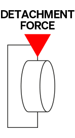 Detachment Force Diagram of Detachment Force
